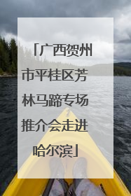 广西贺州市平桂区芳林马蹄专场推介会走进哈尔滨