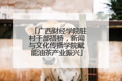 广西财经学院驻村干部搭桥，新闻与文化传播学院赋能油茶产业振兴