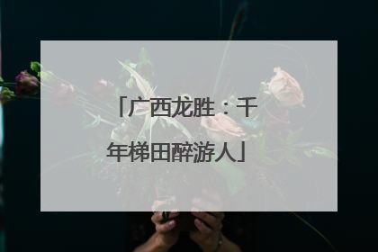 广西龙胜：千年梯田醉游人