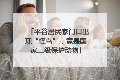 平谷居民家门口出现“怪鸟”，竟是国家二级保护动物