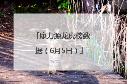 康力源龙虎榜数据（6月5日）