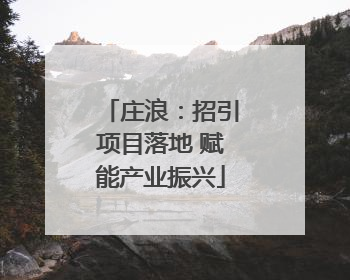 庄浪：招引项目落地 赋能产业振兴
