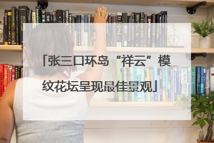 张三口环岛“祥云”模纹花坛呈现最佳景观