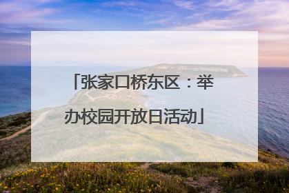 张家口桥东区：举办校园开放日活动
