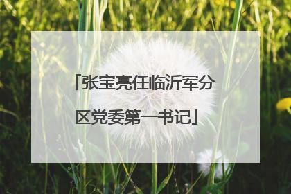 张宝亮任临沂军分区党委第一书记