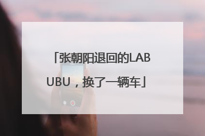张朝阳退回的LABUBU，换了一辆车