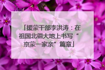 援蒙干部李洪涛：在祖国北疆大地上书写“京蒙一家亲”篇章