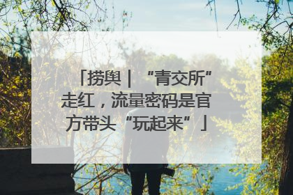 捞舆｜“青交所”走红，流量密码是官方带头“玩起来”