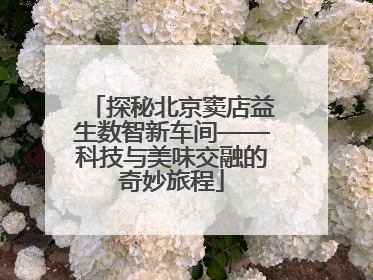 探秘北京窦店益生数智新车间——科技与美味交融的奇妙旅程