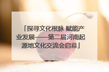探寻文化根脉 赋能产业发展——第二届河南起源地文化交流会启幕