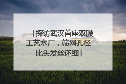 探访武汉首座双膜工艺水厂，筛网孔径比头发丝还细