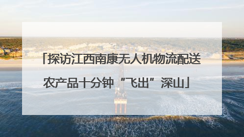 探访江西南康无人机物流配送 农产品十分钟“飞出”深山