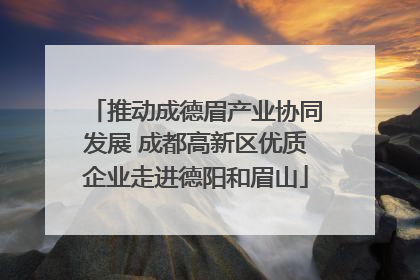 推动成德眉产业协同发展 成都高新区优质企业走进德阳和眉山