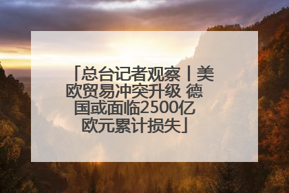 总台记者观察丨美欧贸易冲突升级 德国或面临2500亿欧元累计损失
