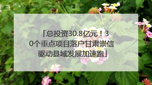 总投资30.8亿元！30个重点项目落户甘肃崇信 驱动县域发展加速跑
