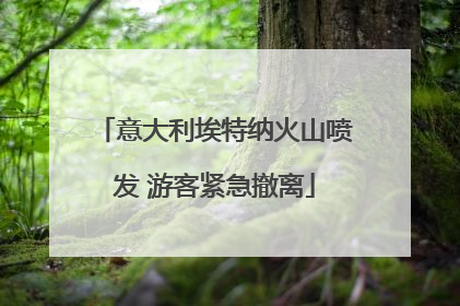 意大利埃特纳火山喷发 游客紧急撤离