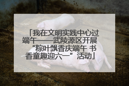 我在文明实践中心过端午——武陵源区开展“粽叶飘香庆端午 书香童趣迎六一”活动