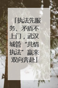 执法先服务、矛盾不上门，武汉城管“共情执法”赢来双向奔赴