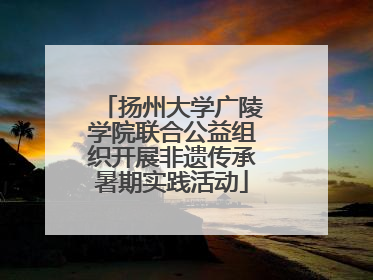 扬州大学广陵学院联合公益组织开展非遗传承暑期实践活动