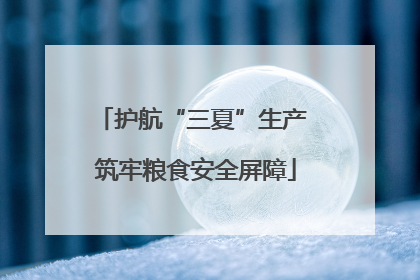 护航“三夏”生产 筑牢粮食安全屏障