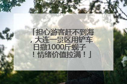担心游客赶不到海，大连一景区用铲车日撒1000斤蚬子！情绪价值拉满！