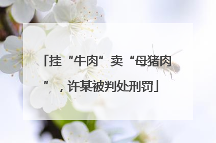 挂“牛肉”卖“母猪肉”，许某被判处刑罚