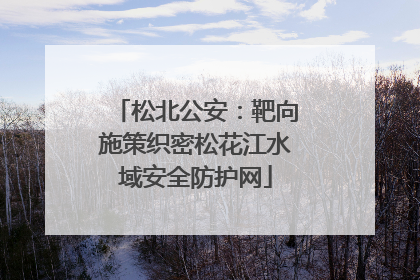 松北公安：靶向施策织密松花江水域安全防护网