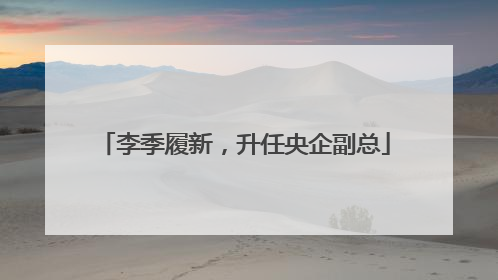 李季履新，升任央企副总