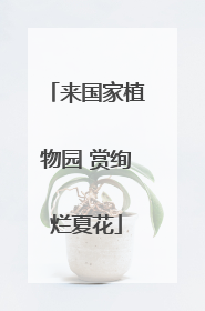 来国家植物园 赏绚烂夏花