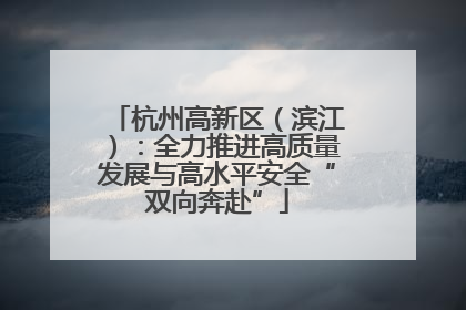 杭州高新区（滨江）：全力推进高质量发展与高水平安全“双向奔赴”