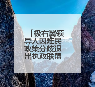 极右翼领导人因难民政策分歧退出执政联盟，导致荷兰政府垮台