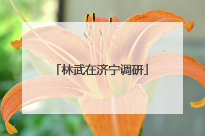 林武在济宁调研