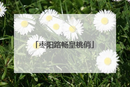枣阳路畅皇桃俏