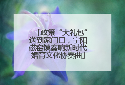 政策“大礼包”送到家门口，宁阳磁窑镇奏响新时代婚育文化协奏曲
