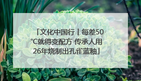 文化中国行丨每差50℃就得变配方 传承人用26年烧制出孔雀蓝釉