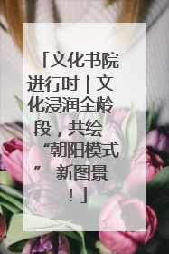 文化书院进行时｜文化浸润全龄段，共绘 “朝阳模式” 新图景！