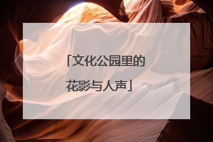 文化公园里的花影与人声
