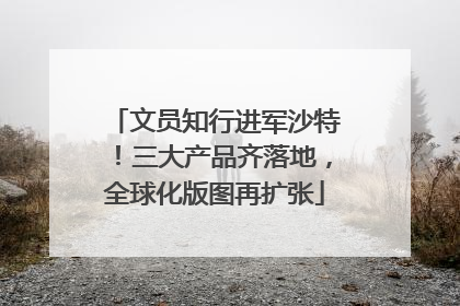 文员知行进军沙特！三大产品齐落地，全球化版图再扩张