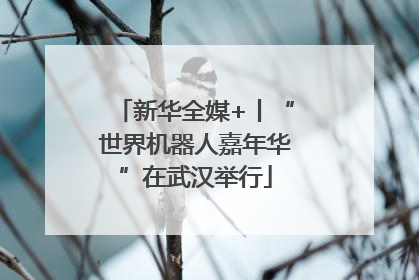 新华全媒+丨“世界机器人嘉年华”在武汉举行