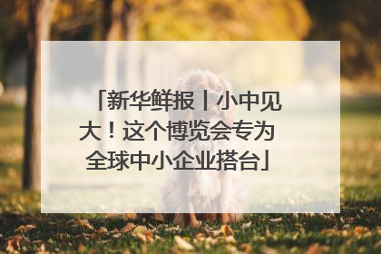 新华鲜报丨小中见大！这个博览会专为全球中小企业搭台