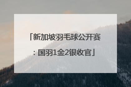 新加坡羽毛球公开赛：国羽1金2银收官