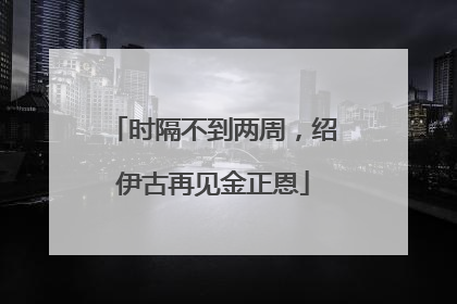 时隔不到两周，绍伊古再见金正恩