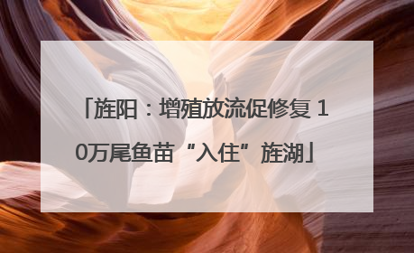旌阳：增殖放流促修复 10万尾鱼苗“入住”旌湖