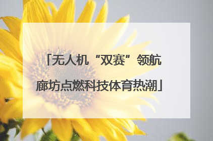 无人机“双赛”领航 廊坊点燃科技体育热潮