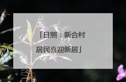日照：新合村居民喜迎新居