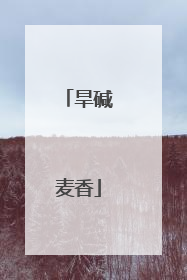 旱碱麦香