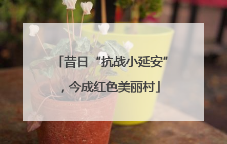 昔日“抗战小延安”，今成红色美丽村