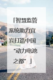智慧监管系统助力宜宾打造中国“动力电池之都”