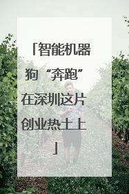 智能机器狗“奔跑”在深圳这片创业热土上