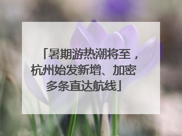 暑期游热潮将至，杭州始发新增、加密多条直达航线